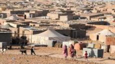 . “أفريكا ووتش” تدين الانتهاكات الجسيمة  بمخيمات تندوف على يد الجبهة الإرهابية بوليزاريو والبلد المضيف