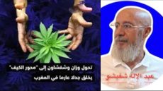 بقلم ذ/عبد الإله شفيشو / فاس.     اٌلْكِيفْ اٌلشَّاوْنِي اٌلْقَدِيمْ وَ اٌلنَّمُوذَجْ اٌلتَّنْمَوِي اٌلْجَدِيدْ