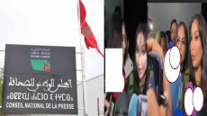 الصحافة بين مطرقة البوز وسندان المهنية.
