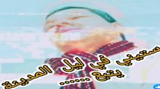 ستيني في ليل المدينة(   عندما قادتني شواية سردين إلى حافة الحكاية)