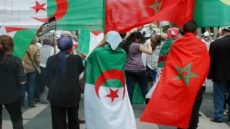 بين يد ممدودة وعقل مشحون المغرب والجزائر الى اين!!!