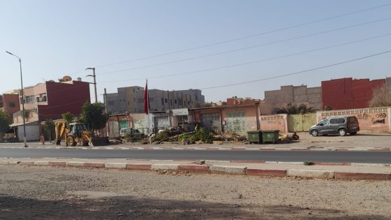 اجتثاث الأشجار بالتمسية.. تهيئة أم هدر للمال العام؟