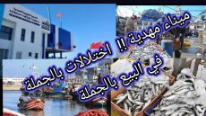 ميناء المهدية !!!!!!  فساد الدلالة وضياع الحقوق…وما خفي كان أعظم