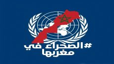 تحركات جنونية قبل التصويت… الجزائر تسقط قناع الحياد وتفضح نفسها أمام العالم.