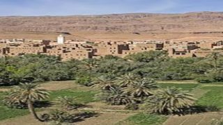 الواحات والمجال القروي بين الرؤية الملكية وإكراهات التفعيل