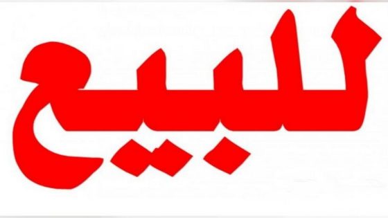 متابعون للبيع… مع التخفيض: بيع ومقال