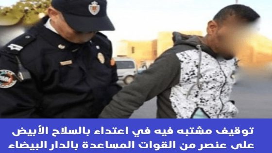 توقيف مشتبه فيه في اعتداء بالسلاح الأبيض على عنصر من القوات المساعدة بالدار البيضاء