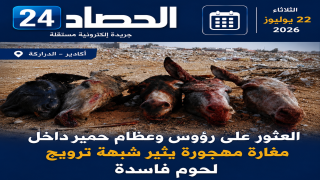 العثور على رؤوس وعظام حمير داخل مغارة بالدراركة يثير شبهة ترويج لحوم فاسدة.. والدرك الملكي يفتح تحقيقاً قضائي