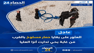العثور على بقايا حمار في ظروف غامضة بحي تدارت أنزا العليا يثير استنفارا محليا.