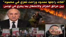 “خلات راجلها ممدود وراحت تعزي في محمود”… بين حرائق الجزائر والانشغال بما يجري في تونس
