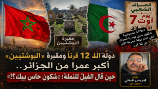 دولة 12 قرنا ومقبرة «البوشتيين» أكبر عمرا من الجزائر.. حين قال الفيل للنملة: «شكون حاس بيك؟!»