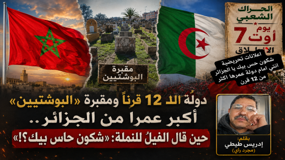 دولة 12 قرنا ومقبرة «البوشتيين» أكبر عمرا من الجزائر.. حين قال الفيل للنملة: «شكون حاس بيك؟!»