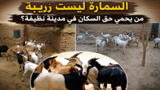 السمارة ليست زريبة من يحمي حق السكان في مدينة نظيفة؟