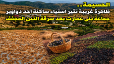 الحسيمة.. ظاهرة غريبة تثير استياء ساكنة أحد دواوير جماعة بني عمارت بعد سرقة التين المجفف.