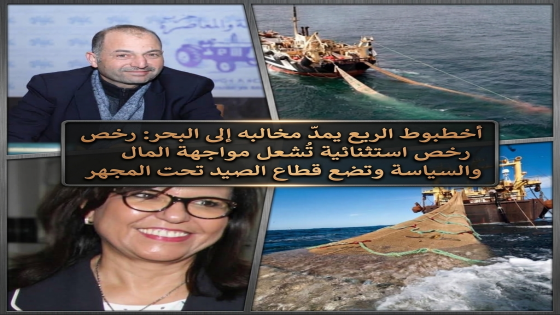 أخطبوط الريع يمدّ مخالبه إلى البحر: رخص استثنائية تُشعل مواجهة المال والسياسة وتضع قطاع الصيد تحت المجهر