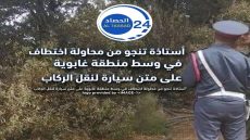 أستاذة تنجو من محاولة تحرش واختطاف في وسط منطقة غابوية على متن سيارة لنقل الركاب