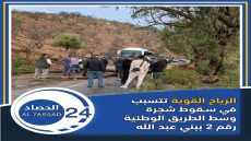 الرياح القوية تتسبب في سقوط شجرة وسط الطريق الوطنية رقم 2 ببني عبد الله.