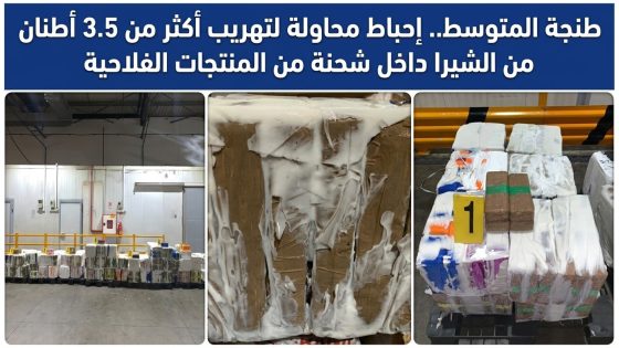 طنجة المتوسط.. إحباط محاولة لتهريب أكثر من 3.5 أطنان من الشيرا داخل شحنة من المنتجات الفلاحية.